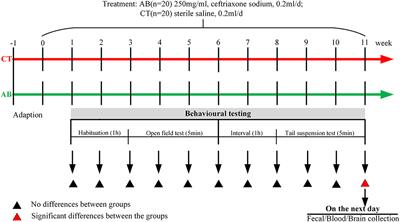 Long-Term Exposure to Ceftriaxone Sodium Induces Alteration of Gut Microbiota Accompanied by Abnormal Behaviors in Mice